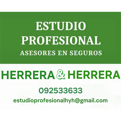 estudio-profesional